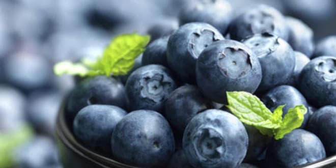 Smoothie-Blog-Header