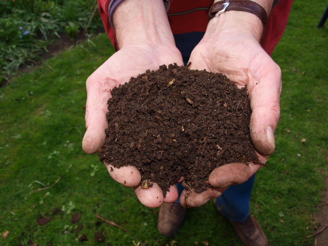 gardening tips for beginners from B&M