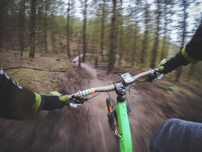 Riding through the woods